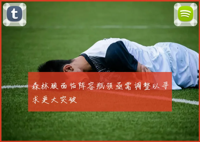 森林狼面临阵容瓶颈亟需调整以寻求更大突破